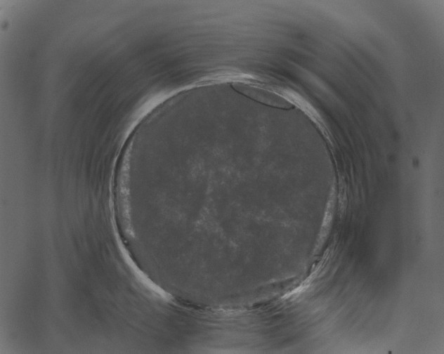 X0000062631055200601111055