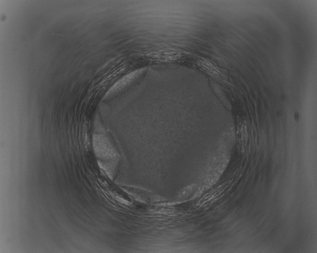 X0000062631058200601111054