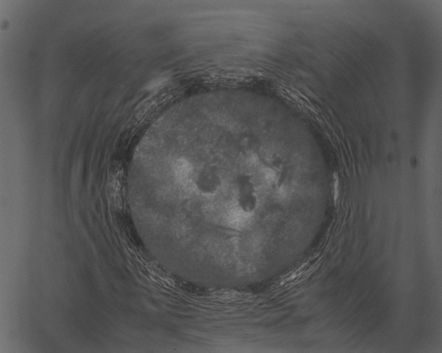 X0000062631059200601111054