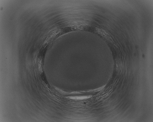 X0000062631060200601111054