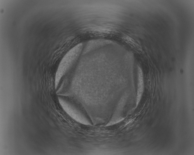 X0000062631061200601111054