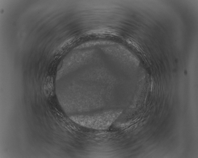 X0000062631062200601111054