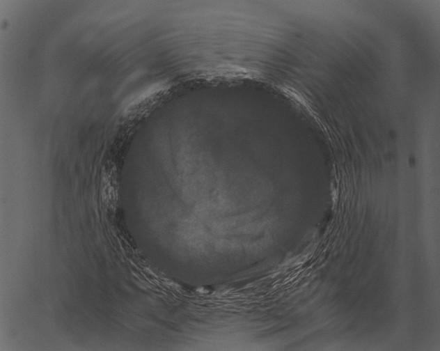 X0000062631063200601111054