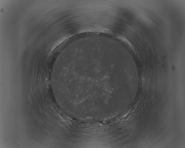 X0000062631064200601111054