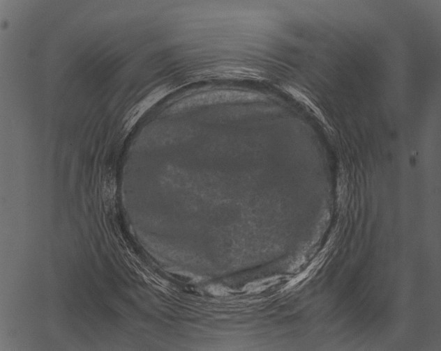 X0000062631065200601111054