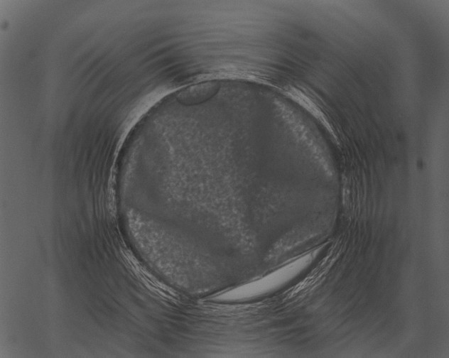 X0000062631068200601111054