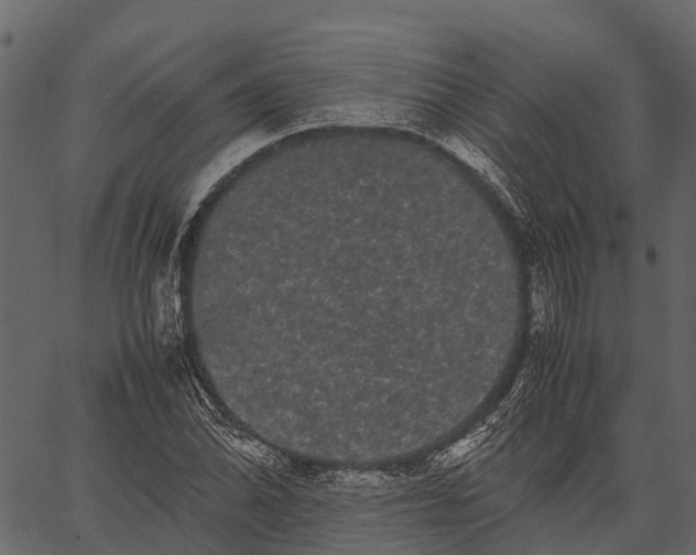 X0000062631070200601111054