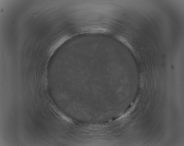 X0000062631071200601111054