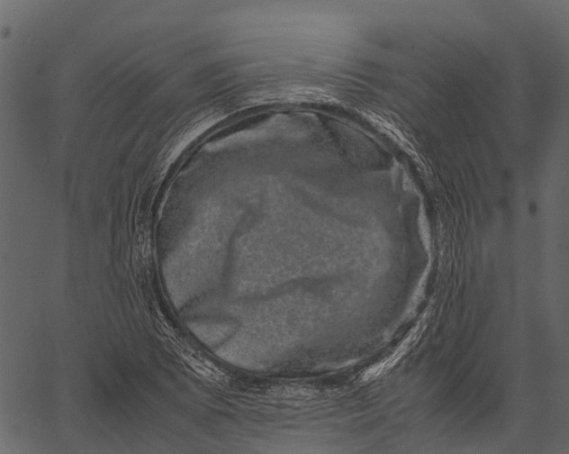 X0000062631073200601111054