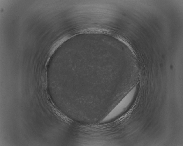 X0000062631075200601111054