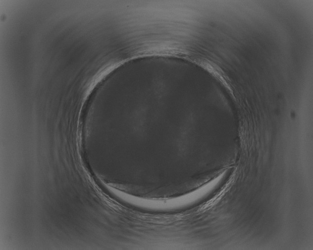 X0000062631077200601111054