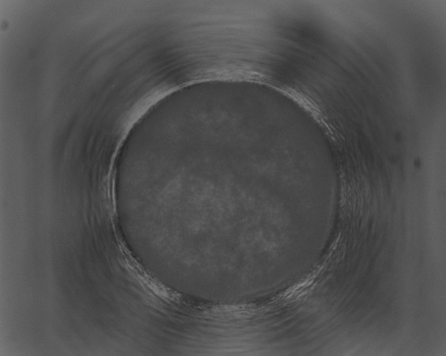 X0000062631078200601111054