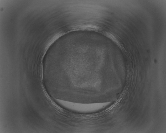 X0000062631079200601111054