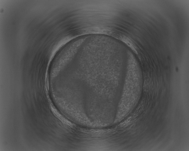 X0000062631080200601111054