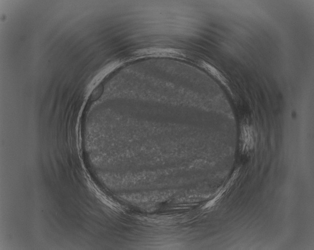 X0000062631082200601111054