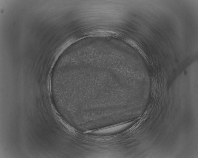 X0000062631083200601111054