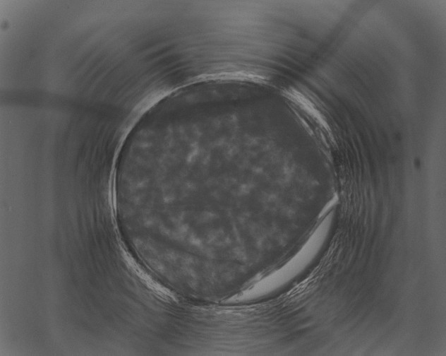 X0000062631084200601111054