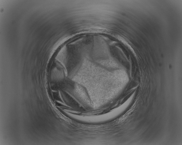 X0000062631085200601111054