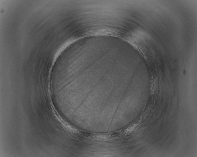 X0000062631086200601111054