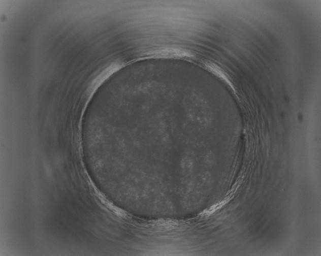 X0000062631087200601111054