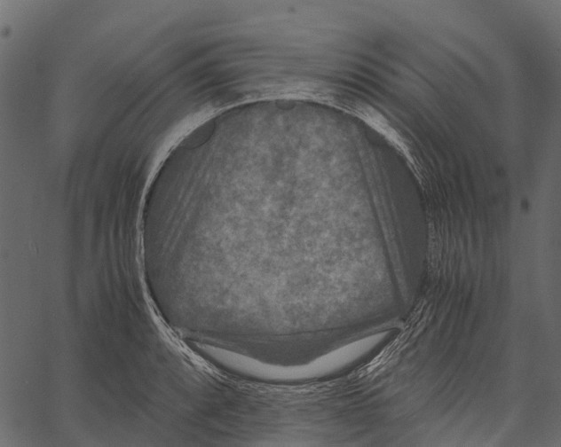 X0000062631088200601111054