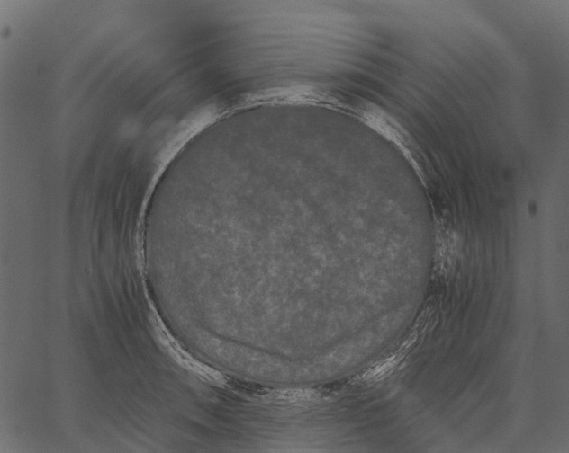 X0000062631090200601111054