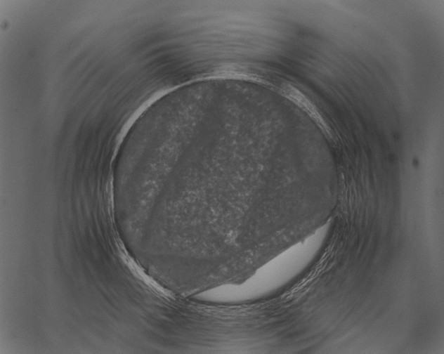 X0000062631092200601111054