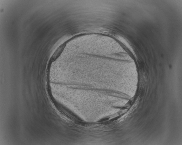 X0000062631093200601111054