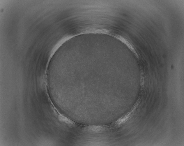 X0000062631094200601111054