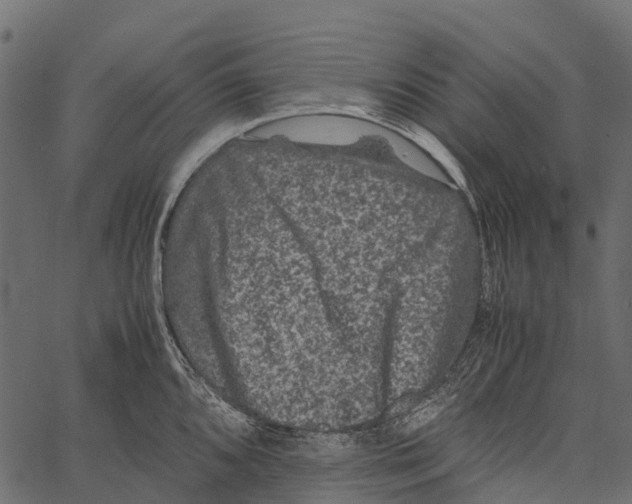 X0000062631096200601111054