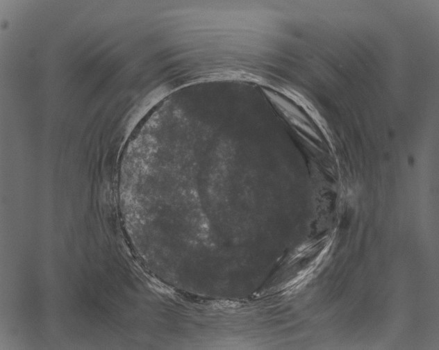 X0000062631097200601111054