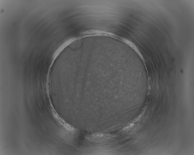 X0000062631098200601111054