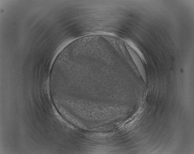 X0000062631100200601111053