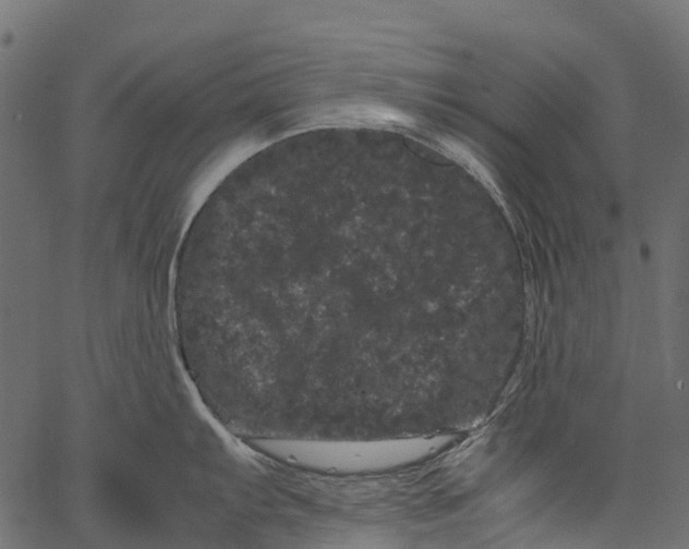 X0000062631103200601111053