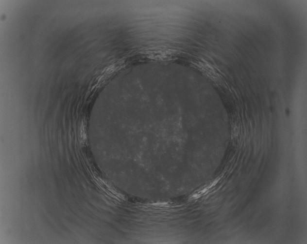 X0000062631106200601111053