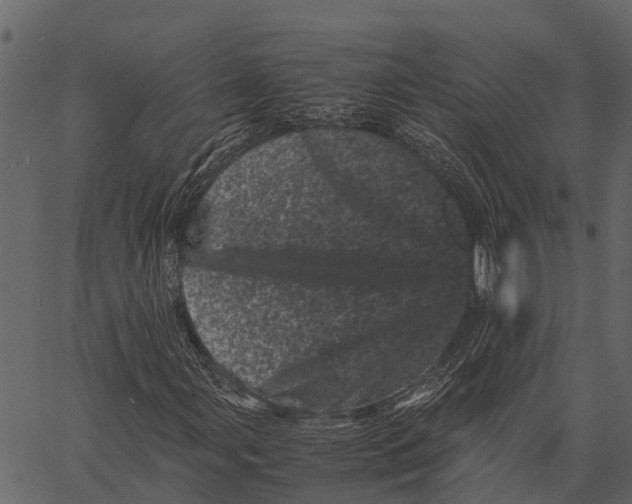 X0000062631107200601111053