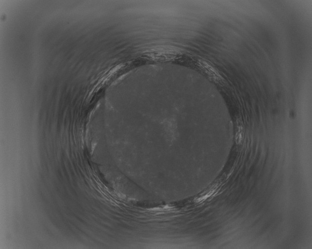 X0000062631108200601111053