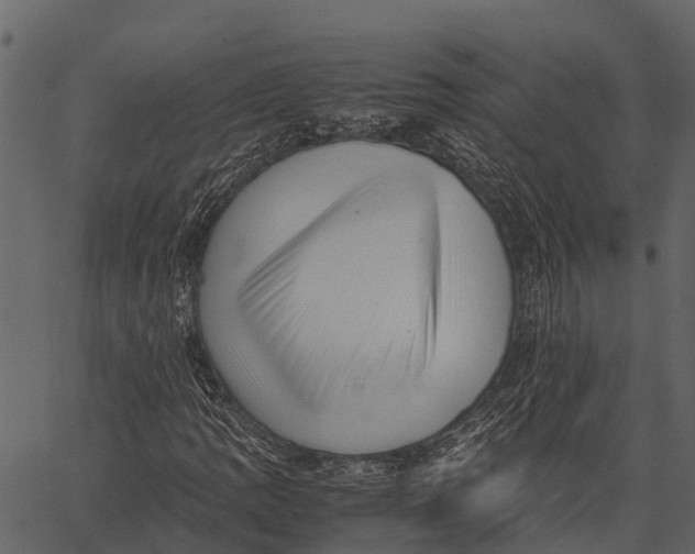 X0000062631109200601111053