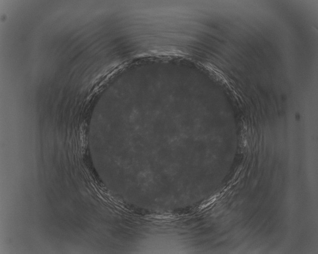 X0000062631110200601111053