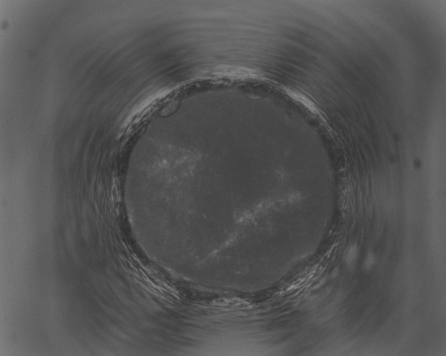 X0000062631112200601111053