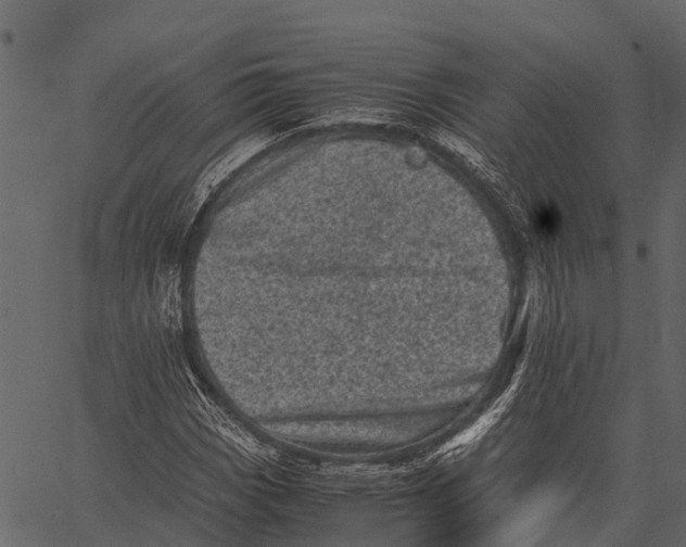 X0000062631113200601111053