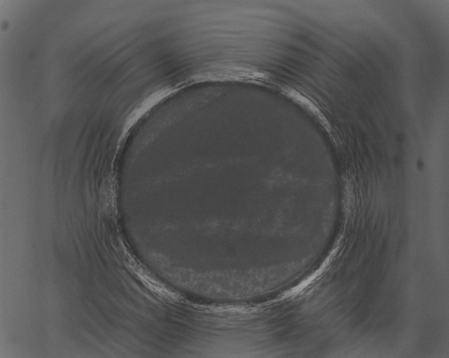 X0000062631114200601111053