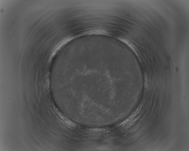 X0000062631115200601111053