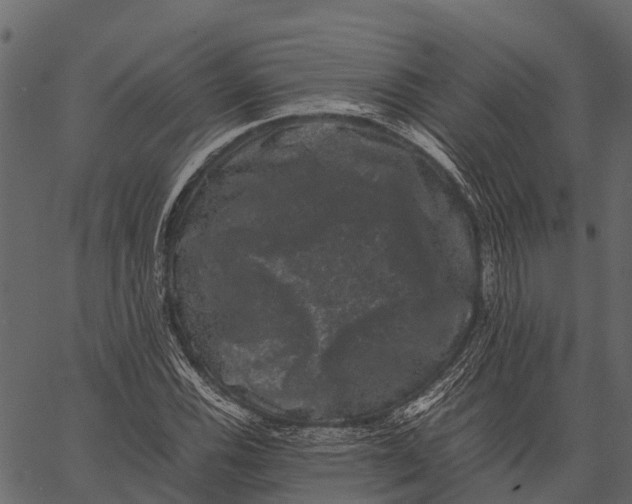 X0000062631116200601111053