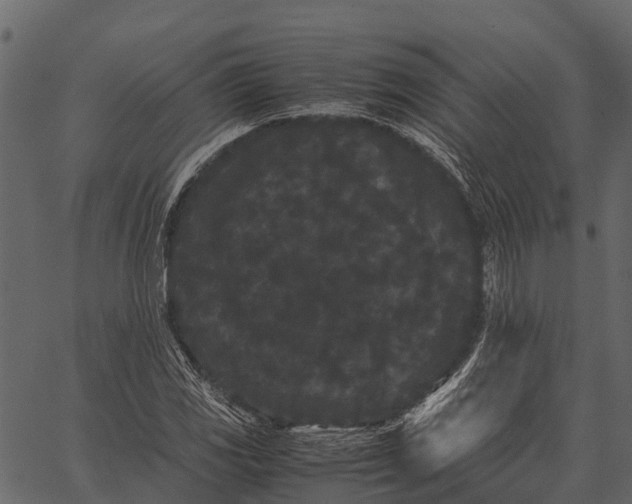 X0000062631117200601111053