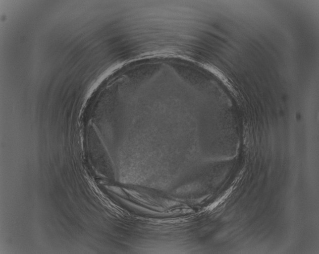 X0000062631118200601111053