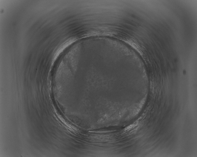 X0000062631119200601111053