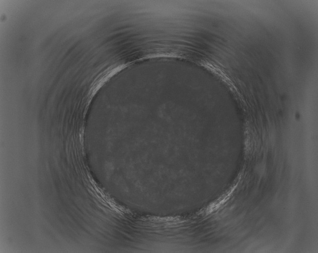 X0000062631121200601111053