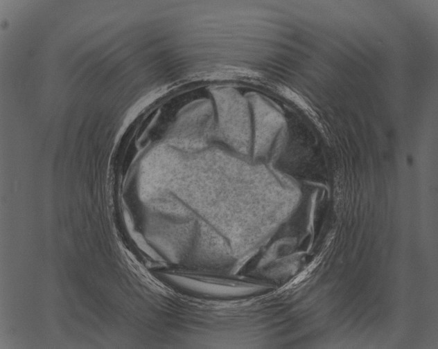 X0000062631122200601111053