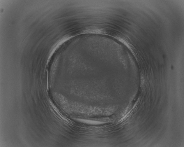 X0000062631123200601111053